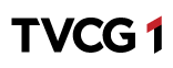 TVCG 1